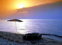 ARGOSARONIKOS  KALO  WORD PRESS